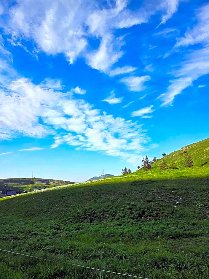 Cinéma, Chambre Privée Au Le Refuge Du Phoenix