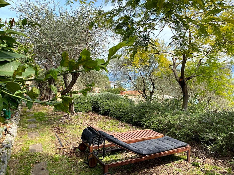 Miramare Apartments&Suites