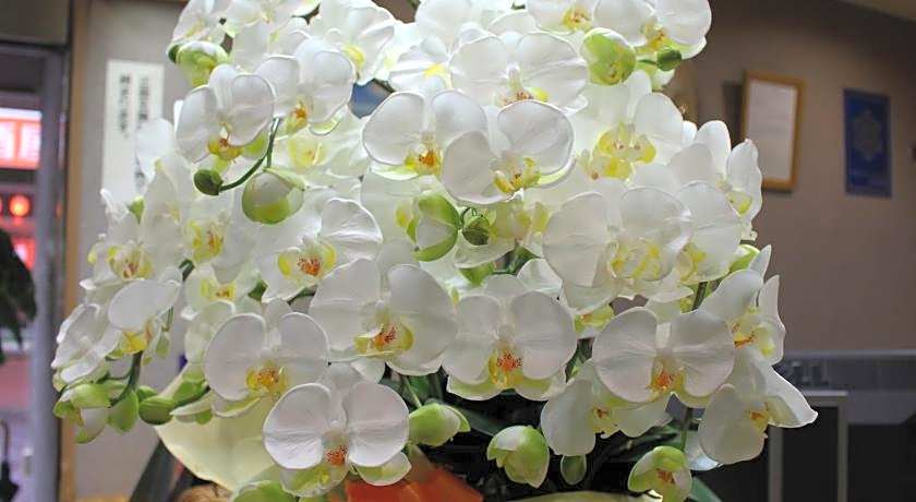 Hotel Trend Asahikawa