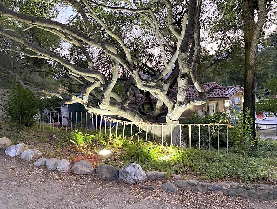 Sequoia River Front Cabins