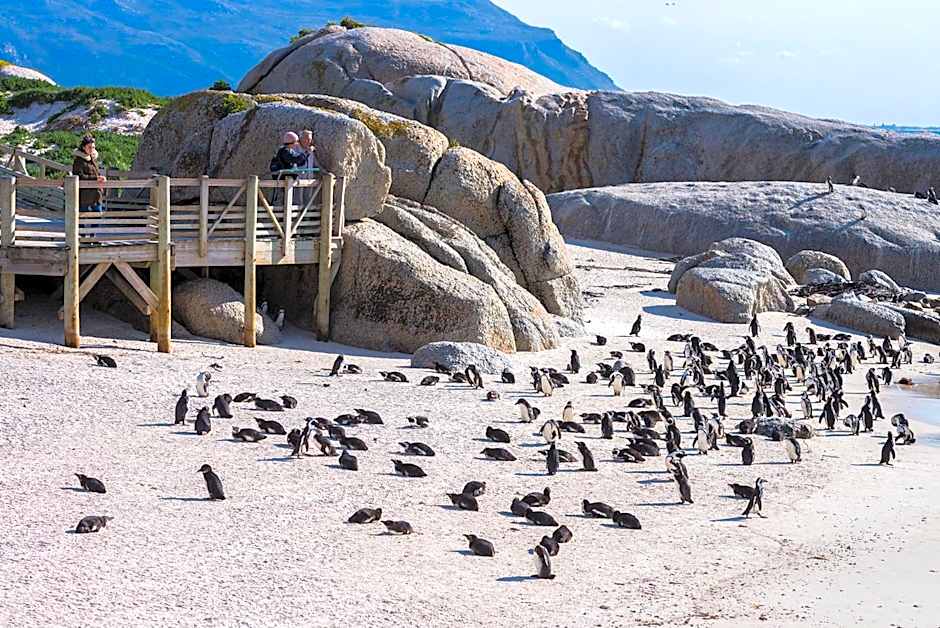 Simon's Town Quayside Hotel