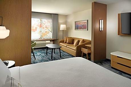 Studio Suite, 1 King, Sofa bed