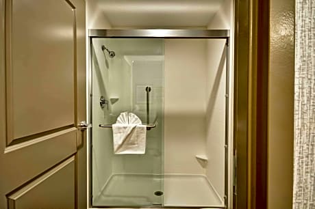 1 King Bed Studio Suite Nonsmoking