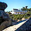 Bosky Dell on Boulders Beach