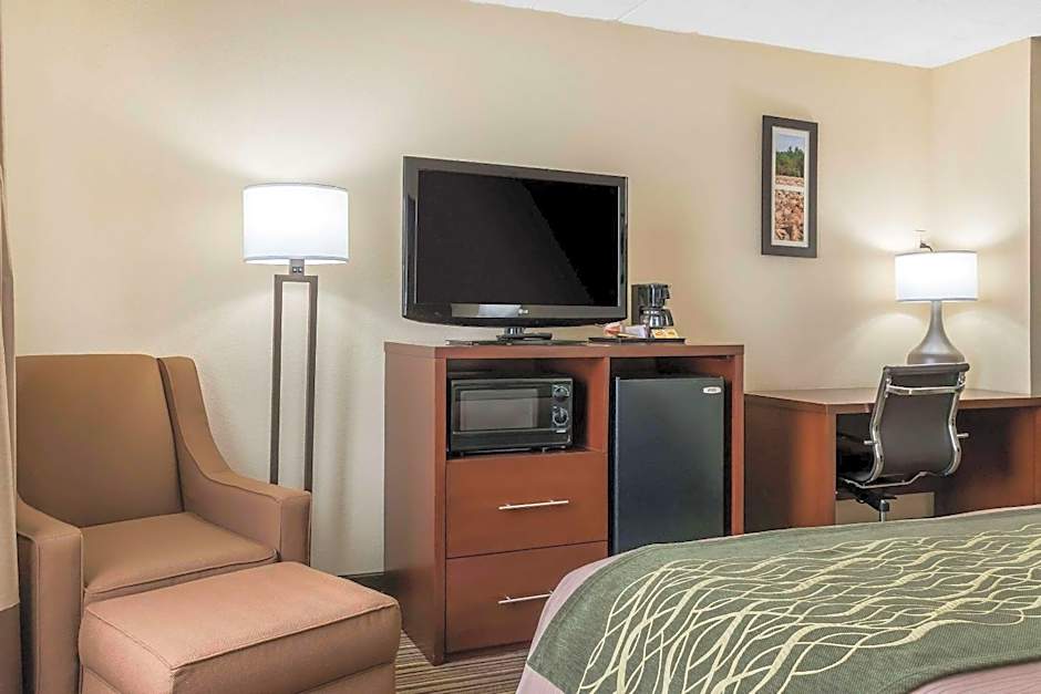Comfort Inn - Pocono Mountain
