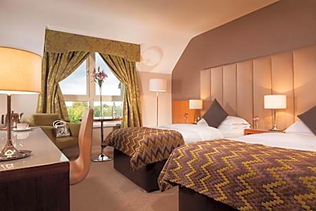 Executive Twin Room