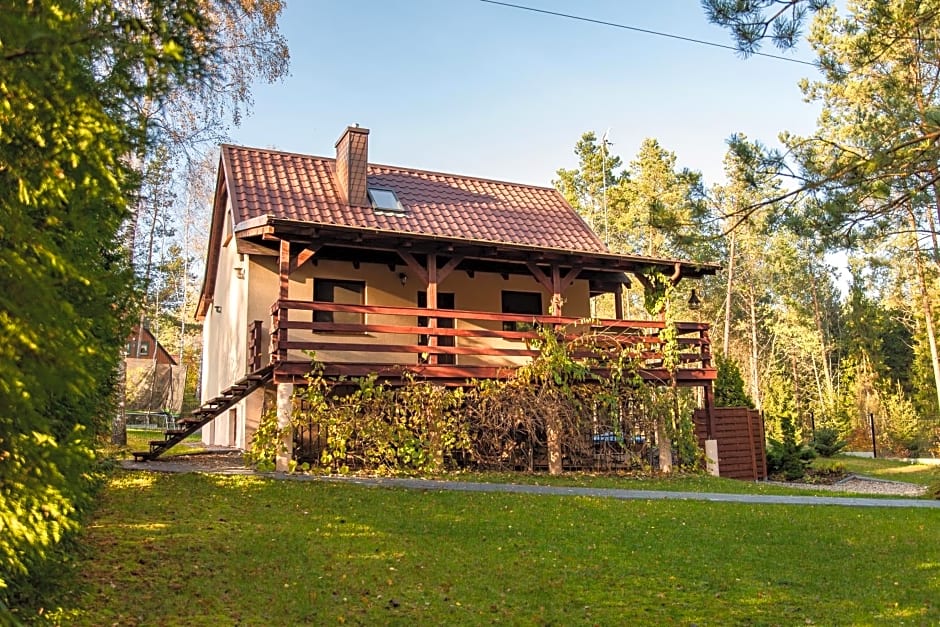 Domek Aleksander z basenem, banią ruską i sauną