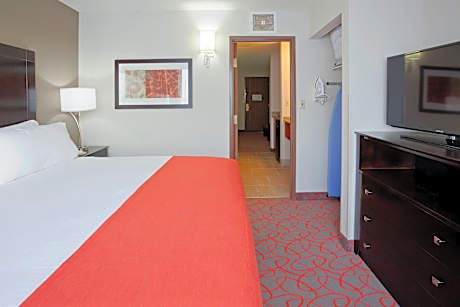King Suite with Sleeper Sofa Shower Non-Smoking