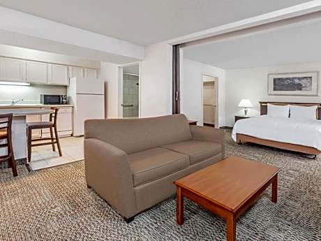 1 King Bed Studio Suite Non-Smoking