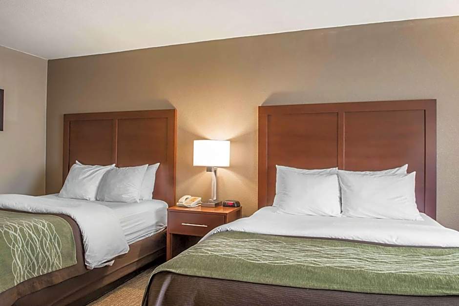 Comfort Inn Edinburg South