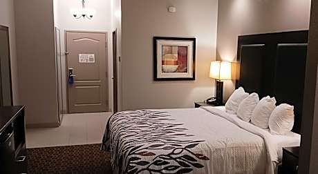 Suite King Room Non-Smoking
