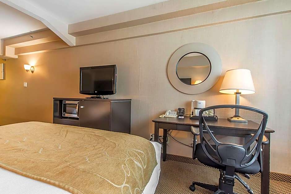 Comfort Suites Downtown