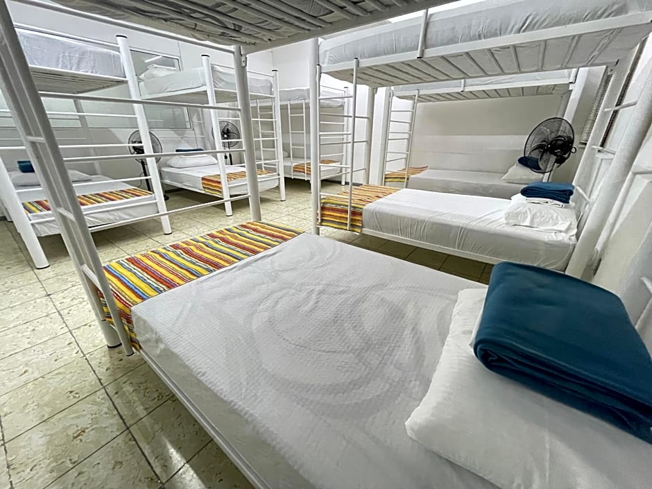 Vive Alegria Hostel