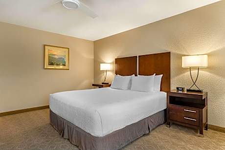 1 King Bed, Non-Smoking, Refrigerator, High Speed Internet Access, Coffee Maker, Hairdryer, Full Bre