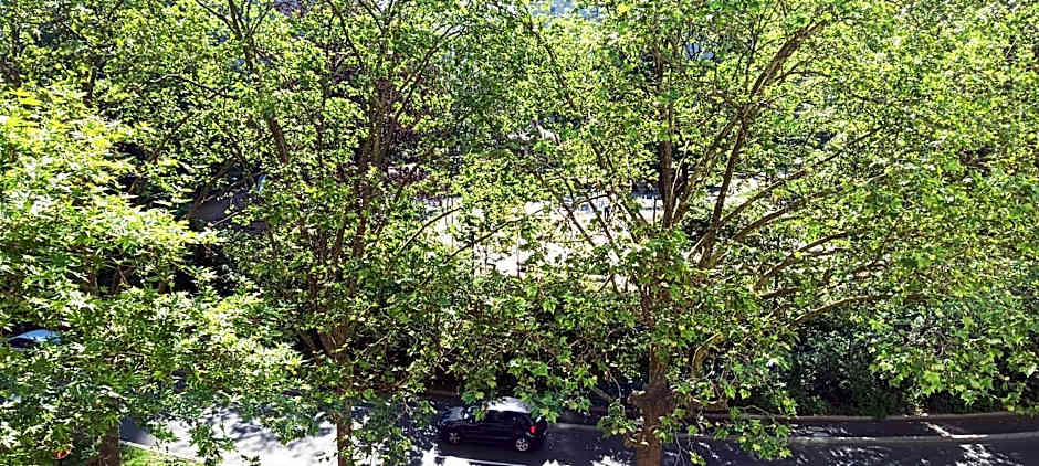 Cosy Studio La Defense