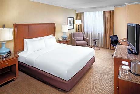 King Bed Junior Suite