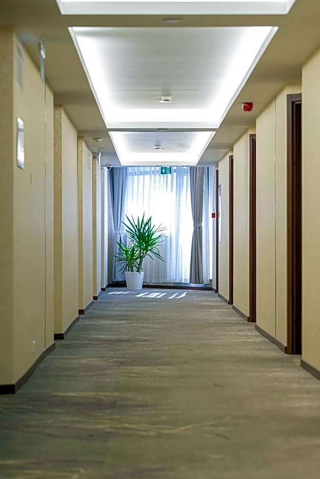 Willis Hotel Business & Wellness