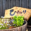 Guest House Himawari - Vacation STAY 32619