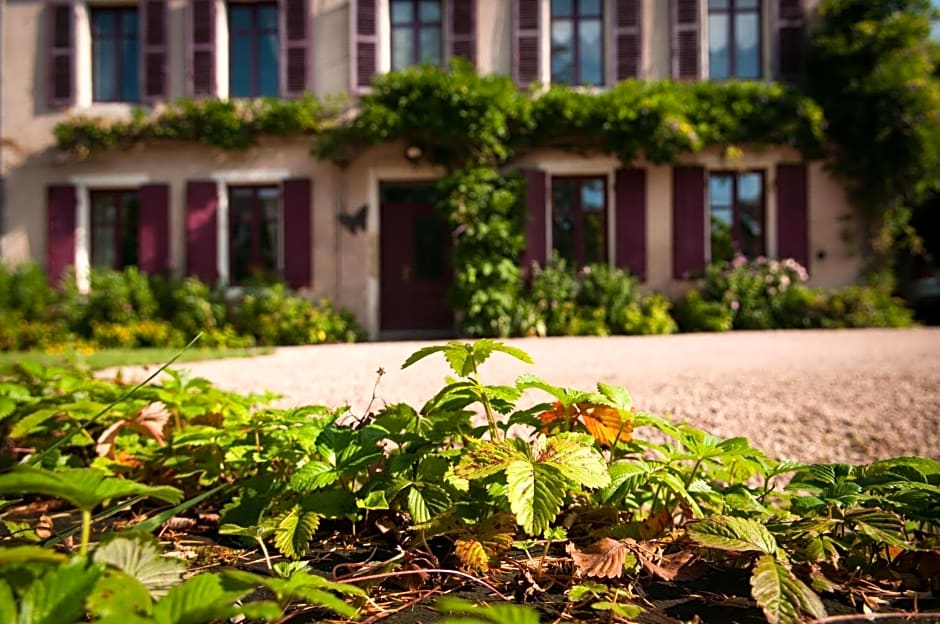 Au Puy Des Vérités