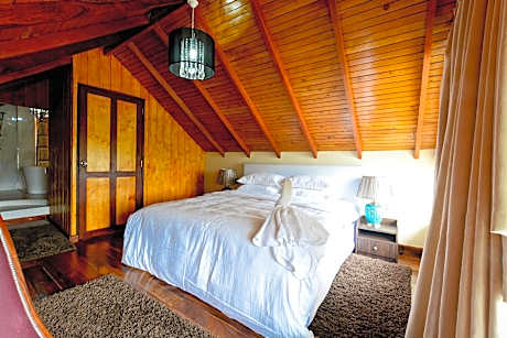 Attic Room