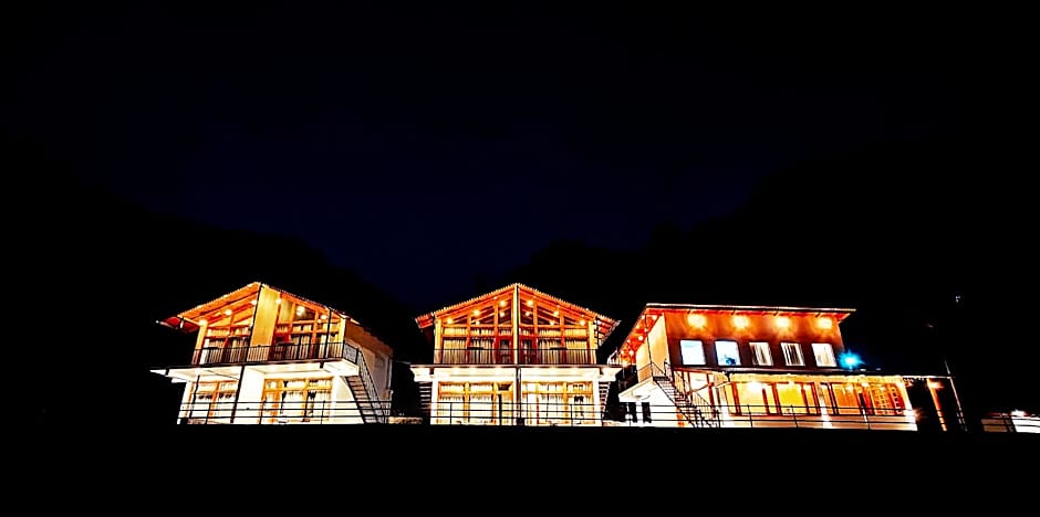 Silver fern by the Hillside