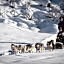 Hüttenhotel Husky Lodge
