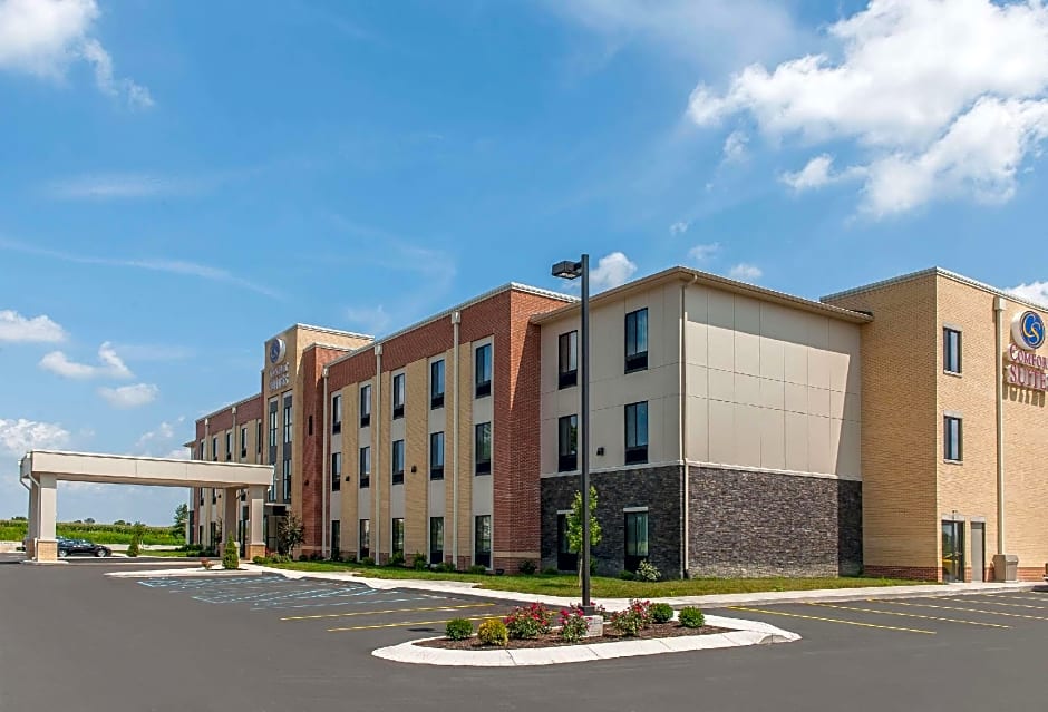 Comfort Suites Rensselaer near Fair Oaks