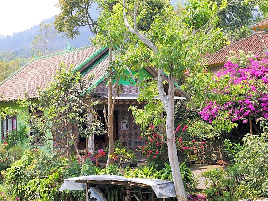 Dajan Buyan Homestay