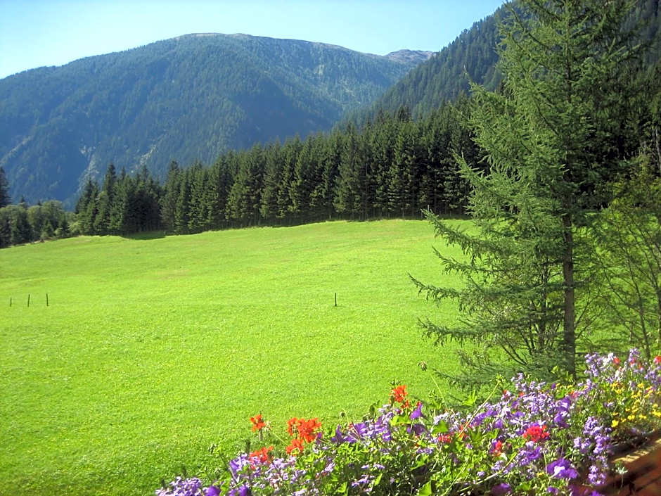 Alpenhotel Badmeister