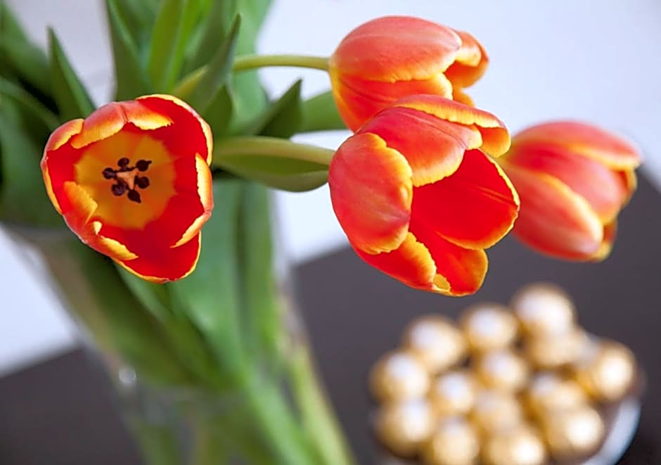 Wine Country Motor Inn