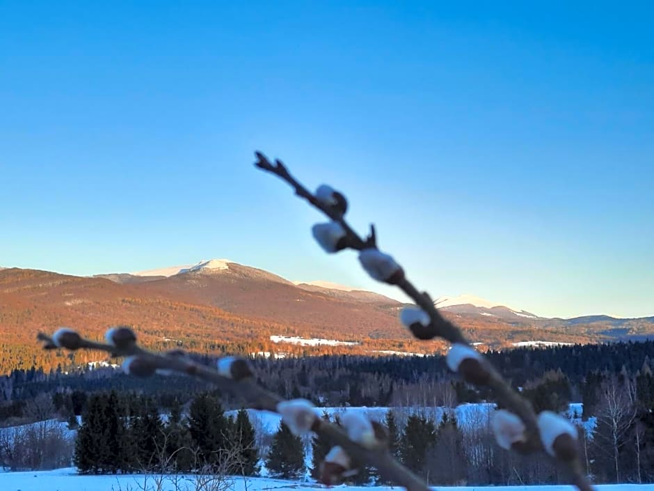 Domki i Apartamenty Rogate Anioły