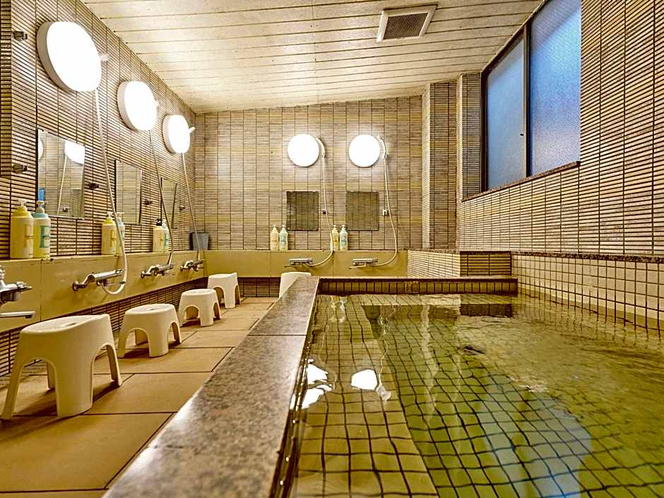 Hotel Fukui Castle