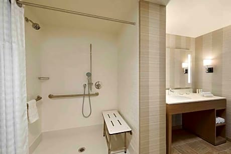 2Queen Accessible Roll In Shower Suite Nosmok