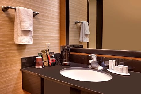 Room, 1 King Bed