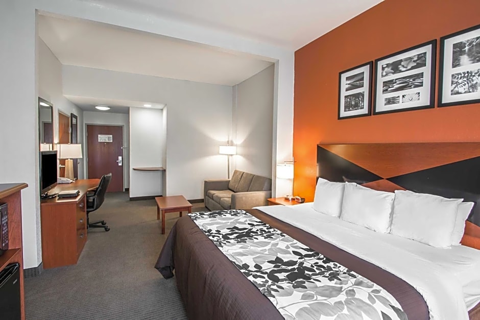 Sleep Inn & Suites Palatka North