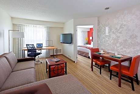 King Studio with Sofa Bed and Roll-in Shower - Mobility and Hearing Accessible
