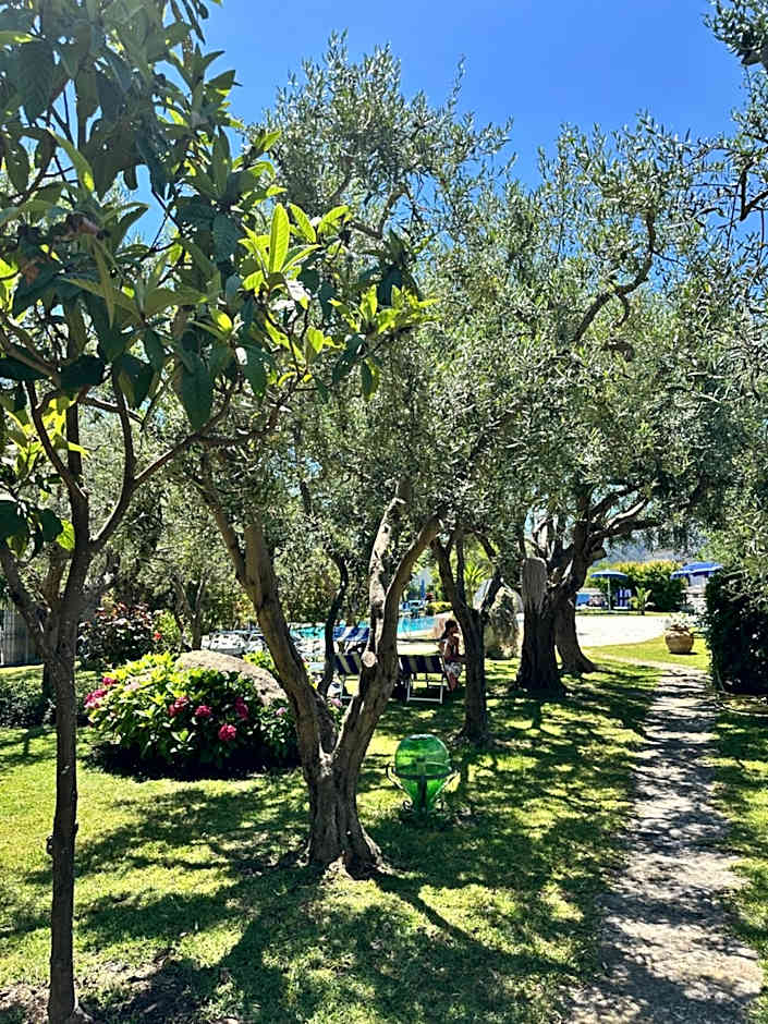 Hotel Boutique Ideal