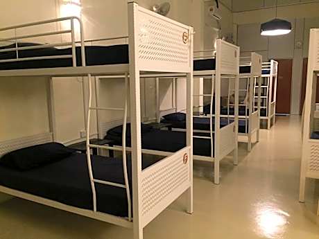 Bed in 12-Bed Mixed Dormitory Room