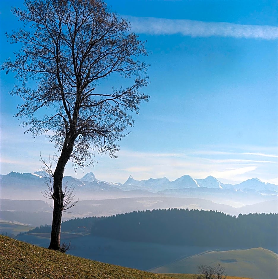 BnB SchlafSchloss