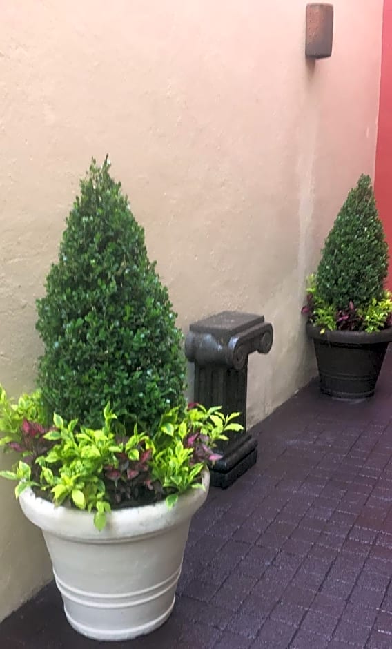 Residence Las Trojes Cdmx