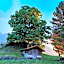 Landgasthof Tännler