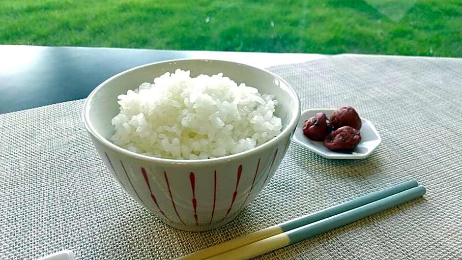 Toyoko Inn Narita Airport Honkan