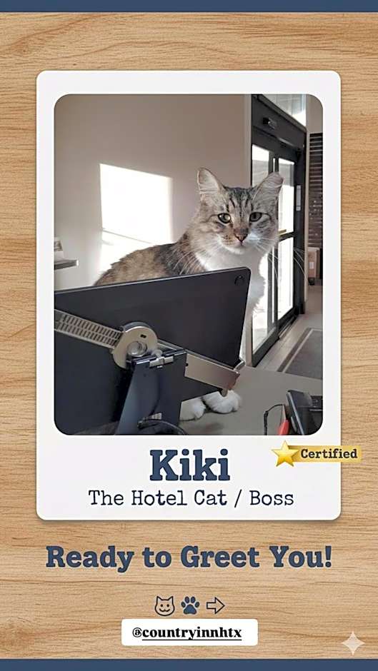 Country Inn & Suites by Radisson, Harlingen, TX