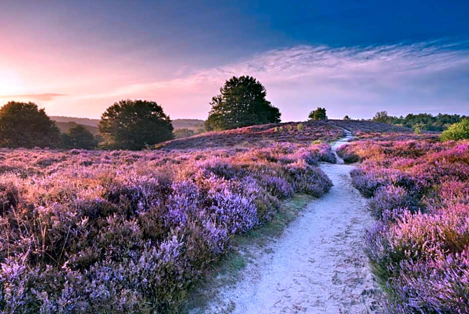 Stijlvol Chalet Lathum