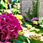 Agriturismo Biologico Castello Della Pieve