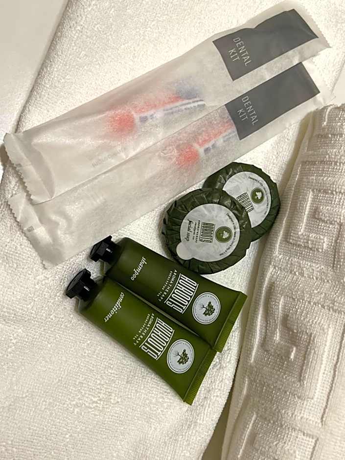 Damara Hotel at Ciudad Elmina