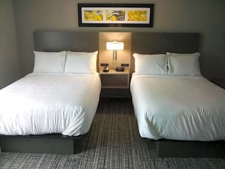 Standard Double Room with Two Double Beds - Non Smoking