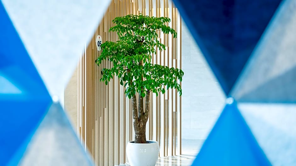 Holiday Inn Express Yangjiang City Center By IHG