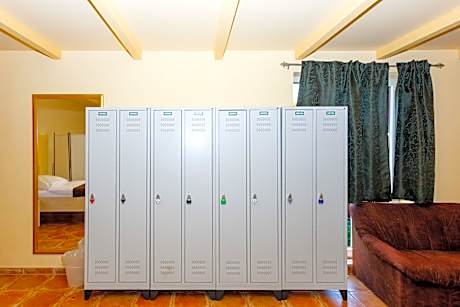 Bed in 8-Bed Dormitory Room
