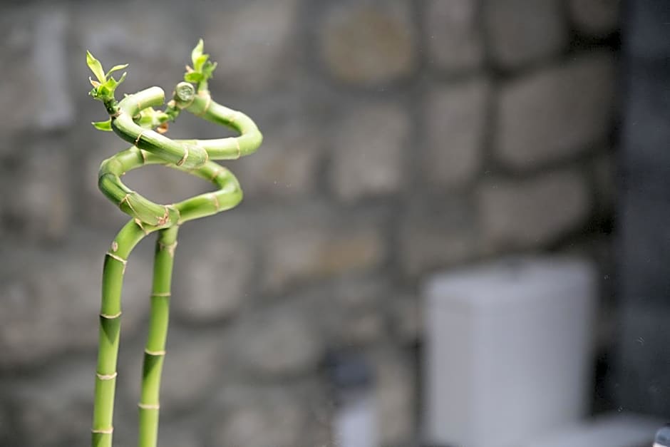 Apartamentos Turísticos La Casa Vieja